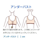 画像をギャラリービューアに読み込む, 《新色入荷》ソフトカップブラ