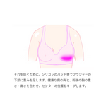画像をギャラリービューアに読み込む, TKM-6799