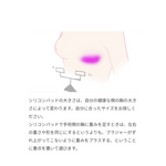 画像をギャラリービューアに読み込む, 優しくホールドブラH-151