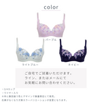 画像をギャラリービューアに読み込む, 優しくホールドブラH-151