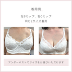 画像をギャラリービューアに読み込む, 《特許取得》乳房の左右差を整える エメリタ