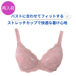 《NEW》ストレッチフィットブラA522L